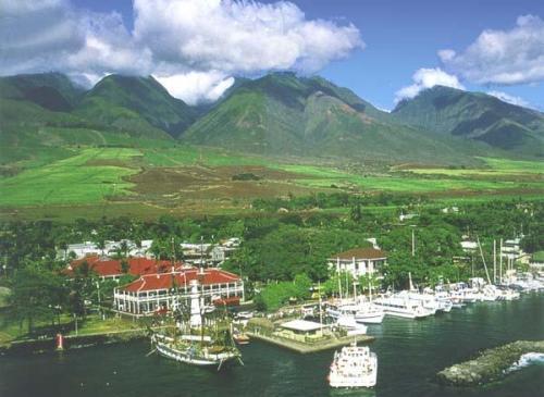 Best Western Pioneer Inn Lahaina Hotel Null Limited Time Offer Hotels In Hawaii Infos
